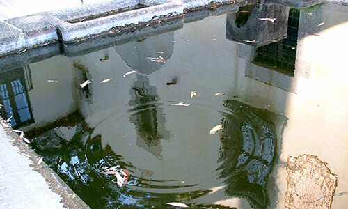 L'aigua de Can Bartomeu